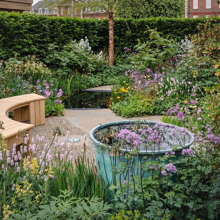 Melville in Copper Green at the Down’s Syndrome Scotland garden, Chelsea Flower Show 2025. Photographs by Julie Skelton