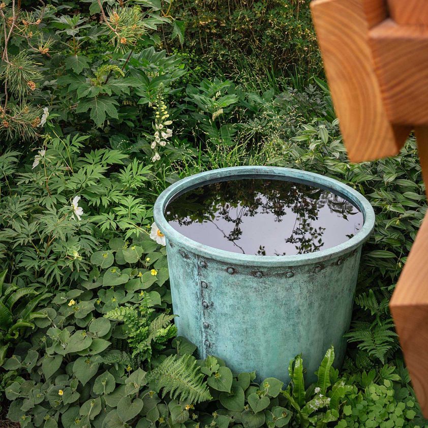 Ogston in Copper Green at the Down’s Syndrome Scotland garden, Chelsea Flower Show 2025. Photographs by Julie Skelton
